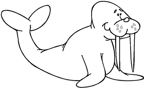 Smiling Walrus  Coloring Page